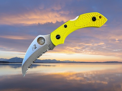 Spyderco dragonfly salt - dragonfly,