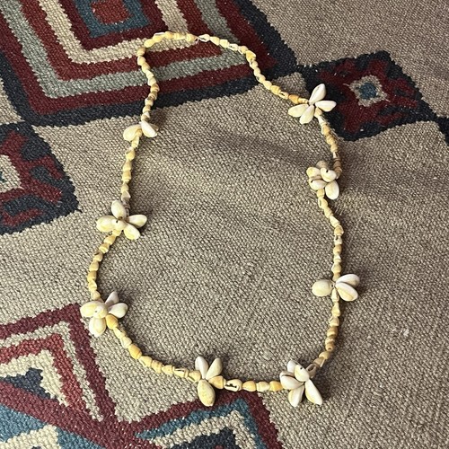 Vintage cowrie sea - cowrie,