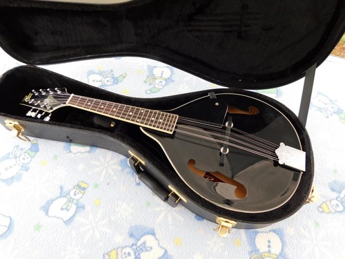 Rogue mandolin 101a - rogue, rm-101a