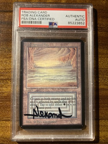 Mtg artist signed - mtg✨artist,