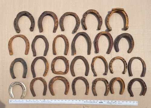 Lot antique horseshoes - lot, 25