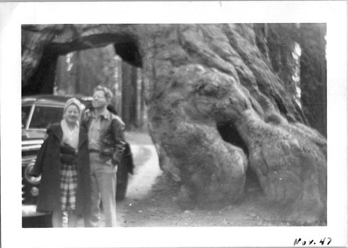 Sequoia national park tunnel - national,