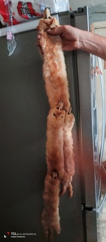 Vintage stole blonde - 4,