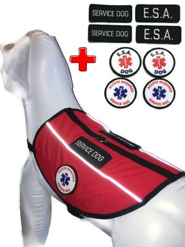Service dog harness support - service,