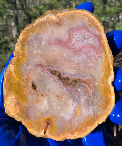 Kentucky agate geode - -, estill