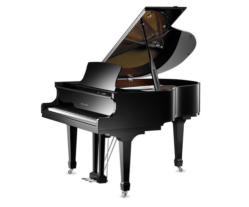 Gp160sp ebony polish pearl - gp160sp,