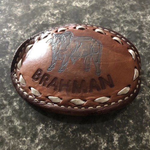 Vtg america brahman cow - vtg,