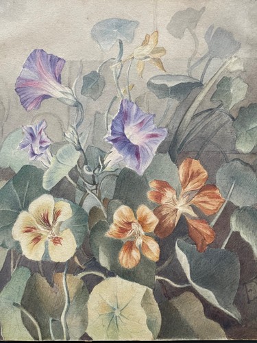 Pensée flower watercolor - flower,