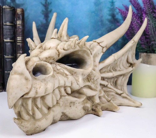 Ebros elder jurassic dragon - elder,