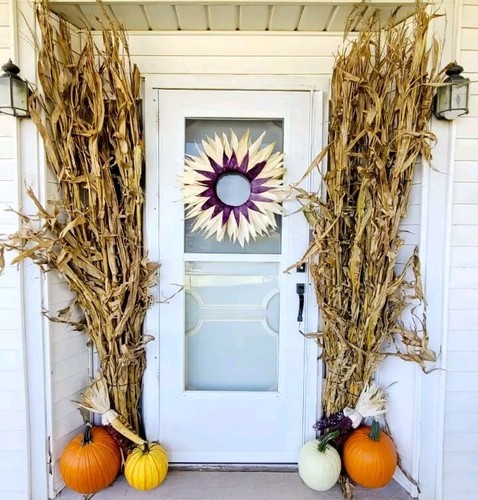 Dried corn stalk bundle - dried,