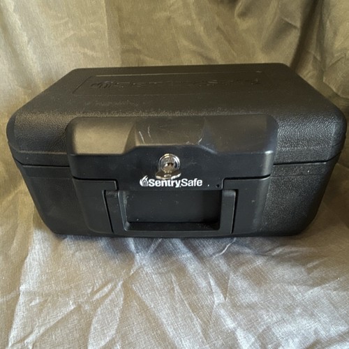 Sentrysafe portable small - small, fire