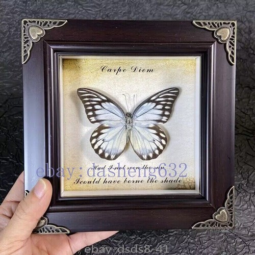 Beautiful framed butterfly - beautiful,