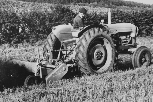 1950s 8x10 ferguson - 8x10, tractor