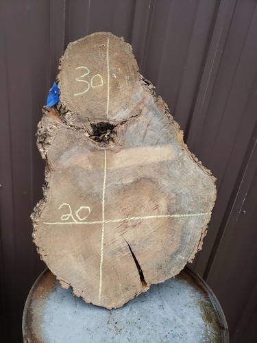 Pecan live edge wood - live,