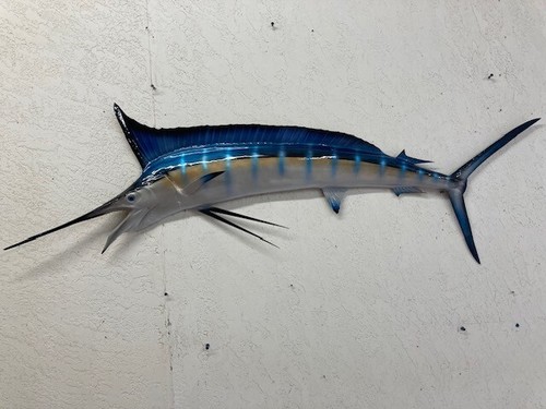 Blue marlin half mount - blue,