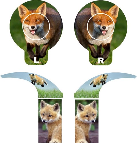 Nucleus cochlear decal skin - cochlear,