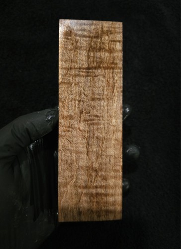 Stabilized curly ambrosia - stabilized,