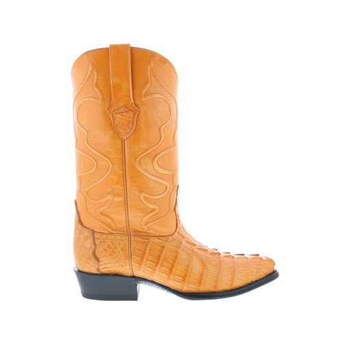 Wild west caiman - wild, boots