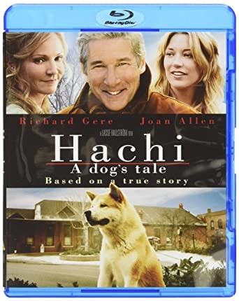 New hachi dog - hachi:, a