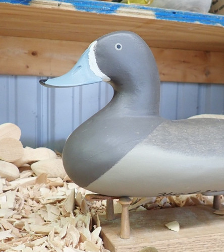 Howard duck foreaker blue - foreaker,