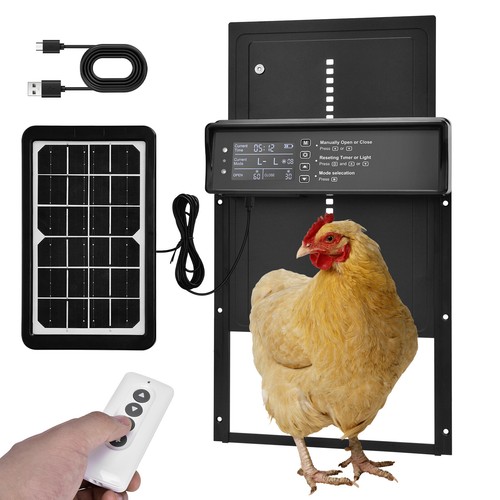 Solar automatic chicken coop - chicken,