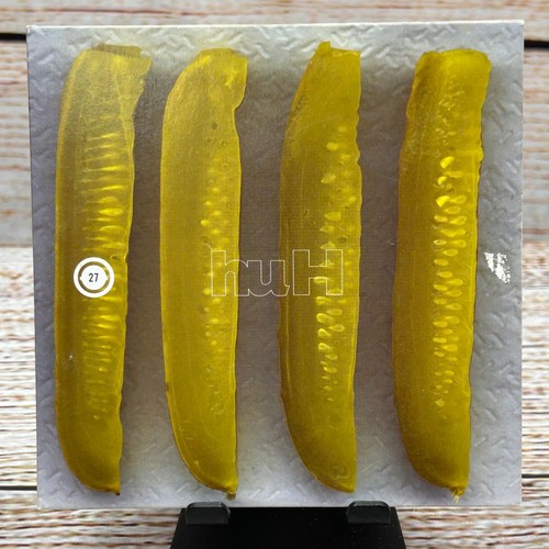 Ray gun magazine - ray, cd