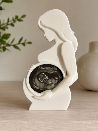 Printed pregnancy - 3d,