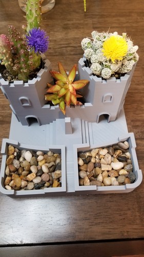 Castle garden succulent - garden,