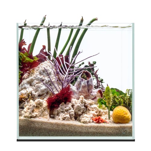 Uns ultra clear rimless tank - uns,