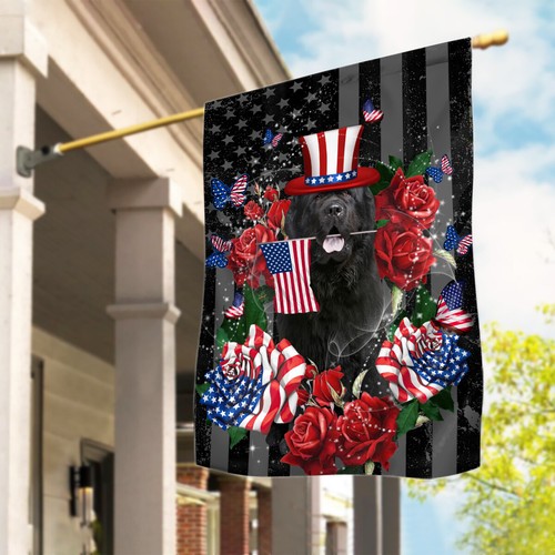 Newfoundland dog america 4th - dog,
