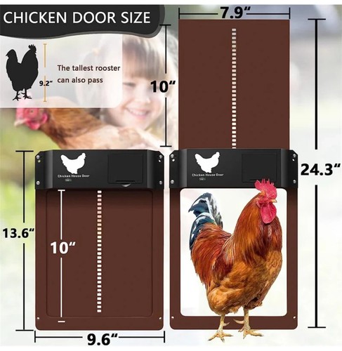 Automatic chicken coop - automatic, door