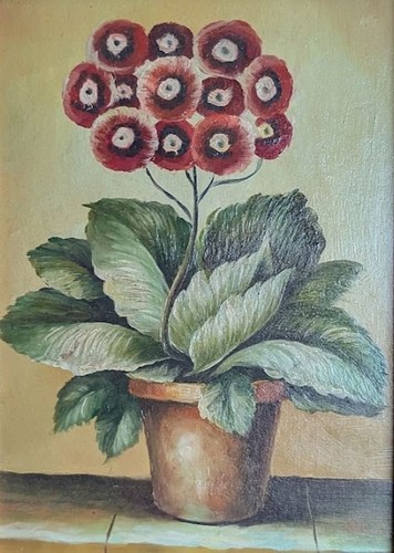 Potted flowers still life - potted, still-life