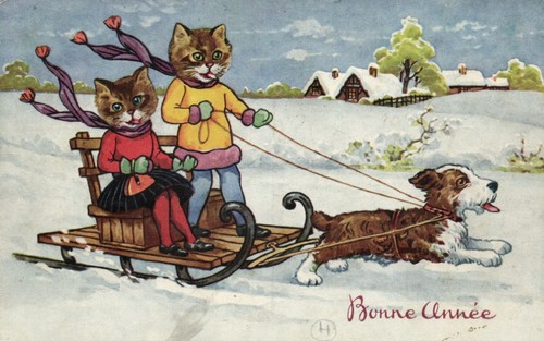 Cats human dress artist - in,