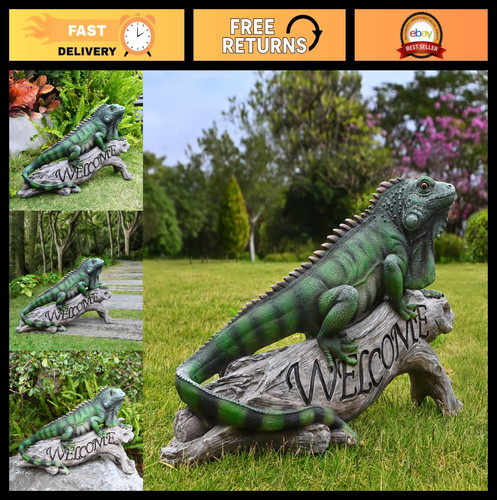 Colorful chameleon lizard - colorful,