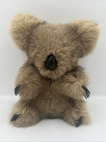 Vintage koala bear real - koala,