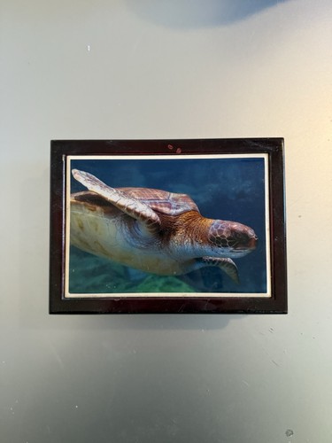 Sea turtle music jewelry - turtle, box
