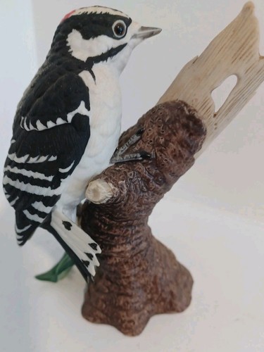 Lenox garden downy woodpecker - garden,
