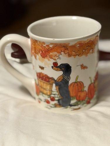 Dachshund fall apple - dachshund,