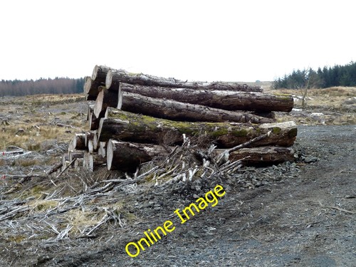 Photo 12x8 awaiting collection - 12x8,