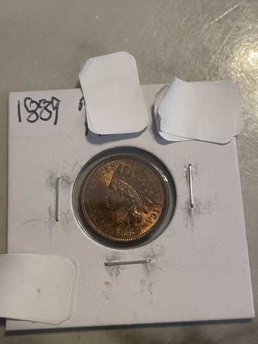 1889 indian cent gorgeous - 1889,