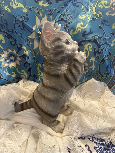 Gray tabby cat - gray,