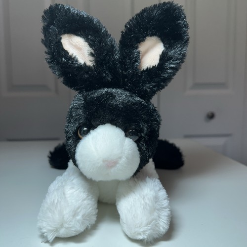 Aurora dutch bunny - bunny, rabbit