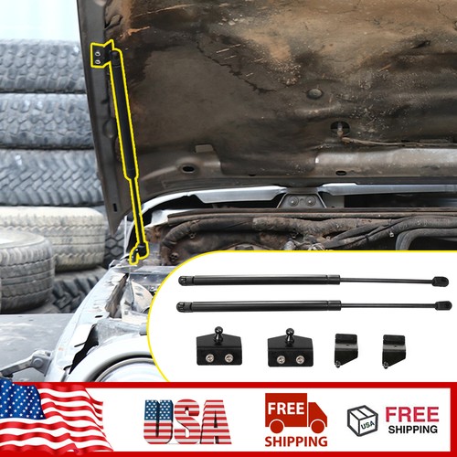 Hood lift supports - hood,