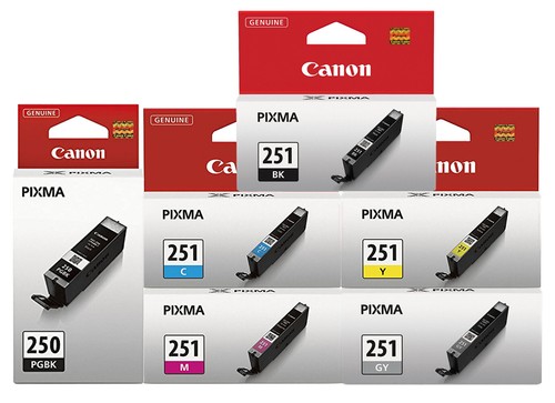 6pk genuine canon pgi - genuine, pgi-250