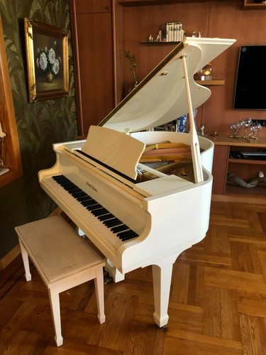Pearl river baby grand - river,