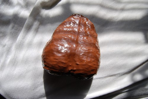Realistic fake latex testicles - fake,