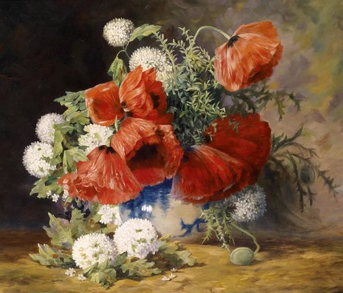 Ornamental red poppies still - red,