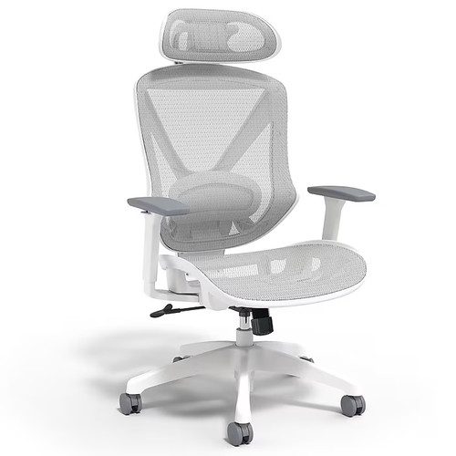 Staples dexley ergonomic - ergonomic, mesh