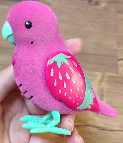 Little live pets - pets, bird