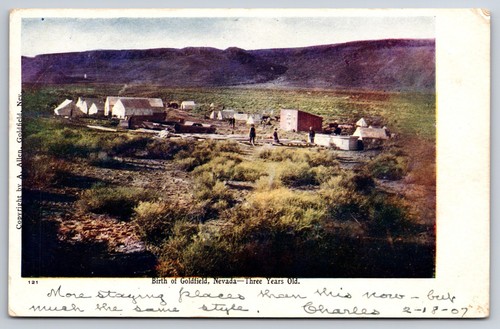 Birth goldfield nevada nv - birth,